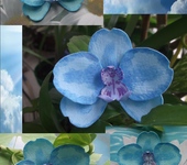 Броши - Брошь из фоамирана "Голубая орхидея"