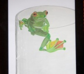 Рисунки и иллюстрации - "зеленая лягушка"