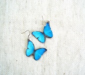 Серьги - Ультраголубые бабочки