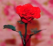 Цветы - Роза ручной работы "Opium Red"