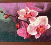 Вышитые картины - Орхидея