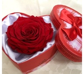 Оригинальные подарки - Стабилизированная красная роза XXL в подарочной коробочке-сердце