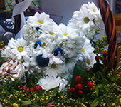 Цветы - Ласковый щенок лежачий