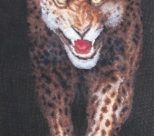 Вышитые картины - вышитая картина крестиком ,Леопард