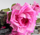Броши - Брошь-заколка шелковая роза «Ассоль». Цветы из ткани