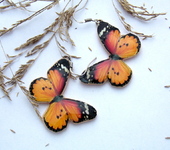 Серьги - Серьги "Бабочки" оранжевые
