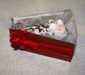 Подарочная упаковка - Коробочка для мыла ТК4