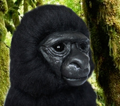 Зверята - обезьяна горилла